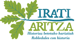 Logo irati aritza